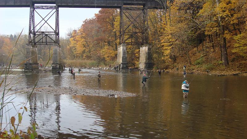Below the bridge.JPG